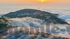 足球比分直播新浪-足球比分直播新浪，球迷的实时信息枢纽与激情共享平台